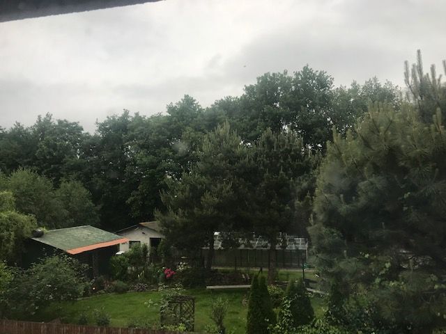 teren zielony przy ul. Zielińskiego