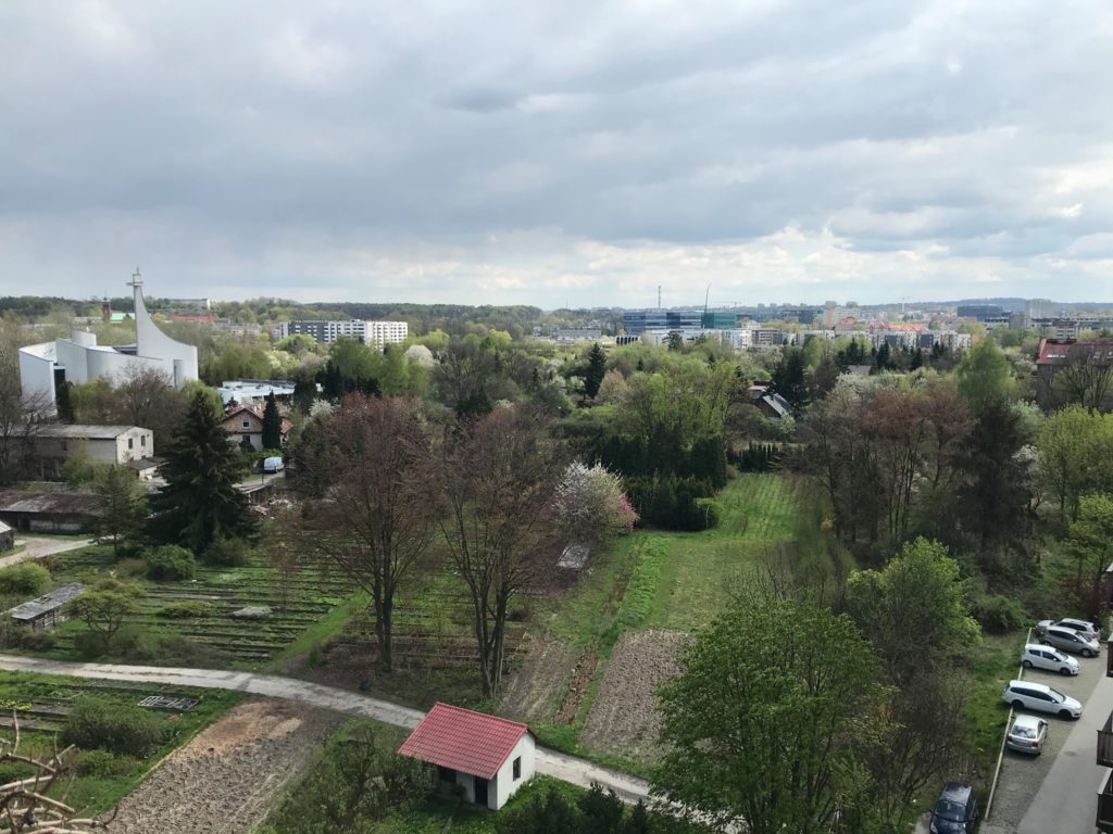 osiedle podwawelkie widok na szkolke drzew i krzewów
