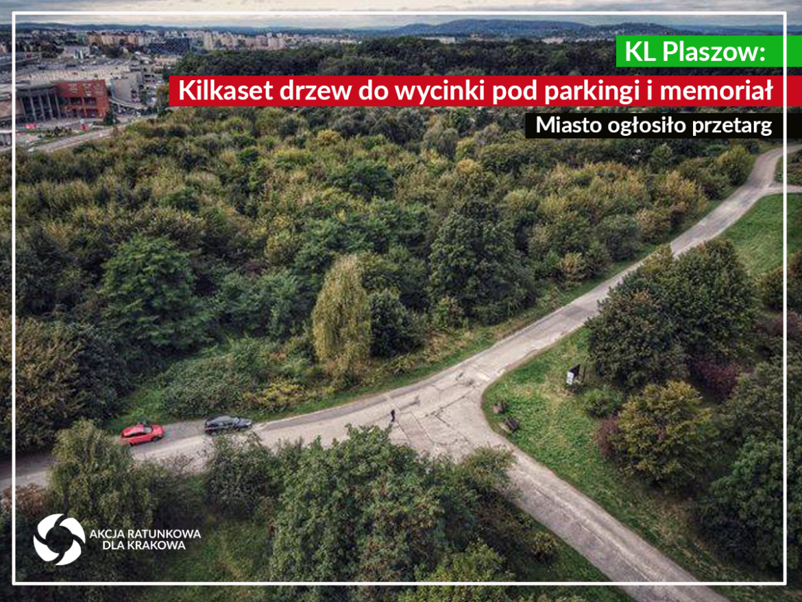 KL Plaszow wycinka
